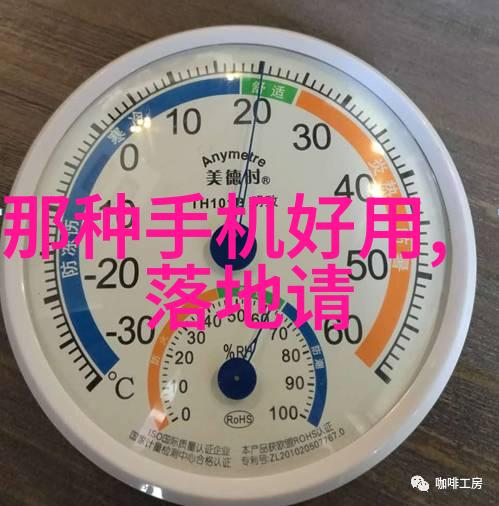 双转子流量计