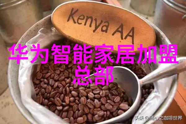 德国WIKA 压力表 抗强腐蚀 不锈钢 双刻度 13111