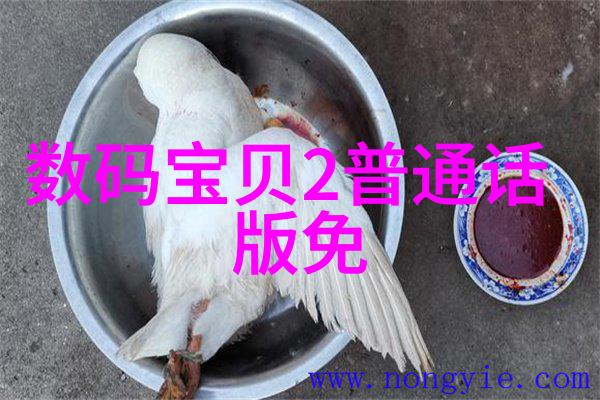 豆制品废水处理设备
