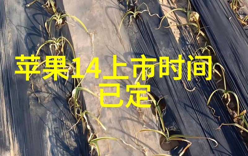 烟台万向通风罩